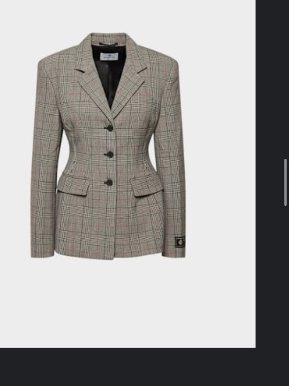NWT Aritzia Babaton Standout Blazer